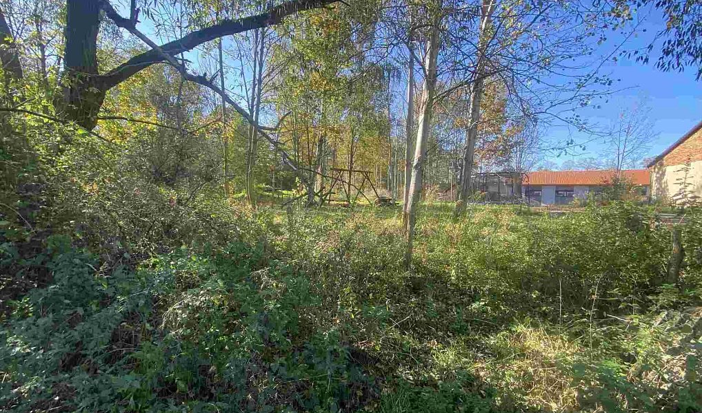 Prodej pozemku 376 m², Raspenava – náhled fotky 4