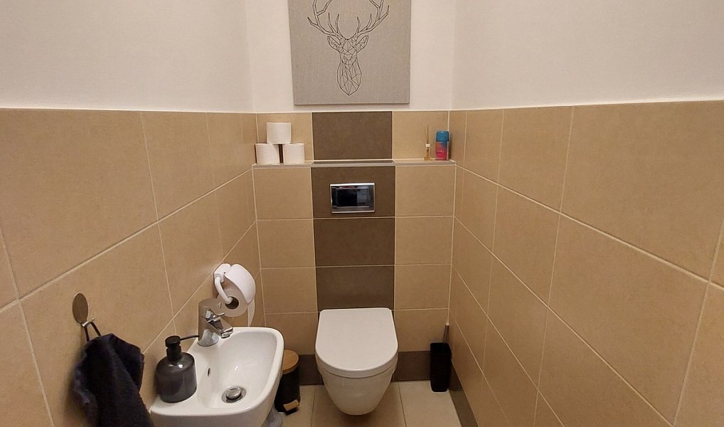 Pronájem bytu 2+kk 68 m², Olomouc – náhled fotky 15