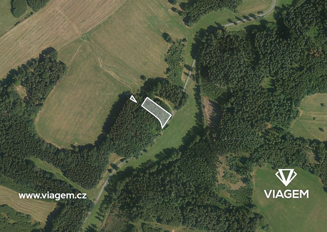 Les 2 115 m², Podíl 17 % o výměře 353 m² – pohled 2