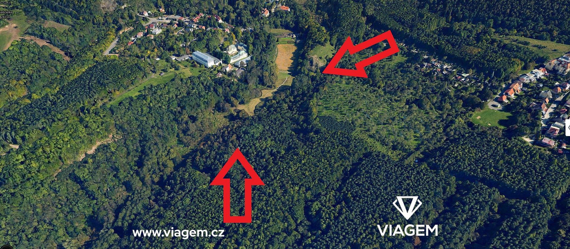 Prodej lesa 488 m² – fotografie 4