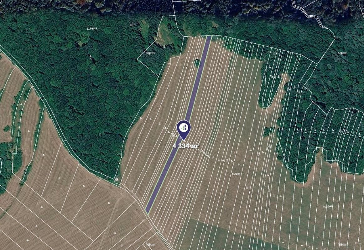 Prodej louky 4 334 m²