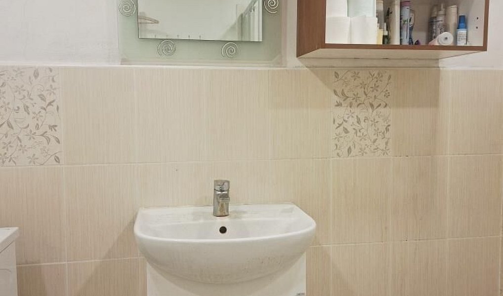 Prodej zemědělského objektu 250 m², Loučany – náhled fotky 18
