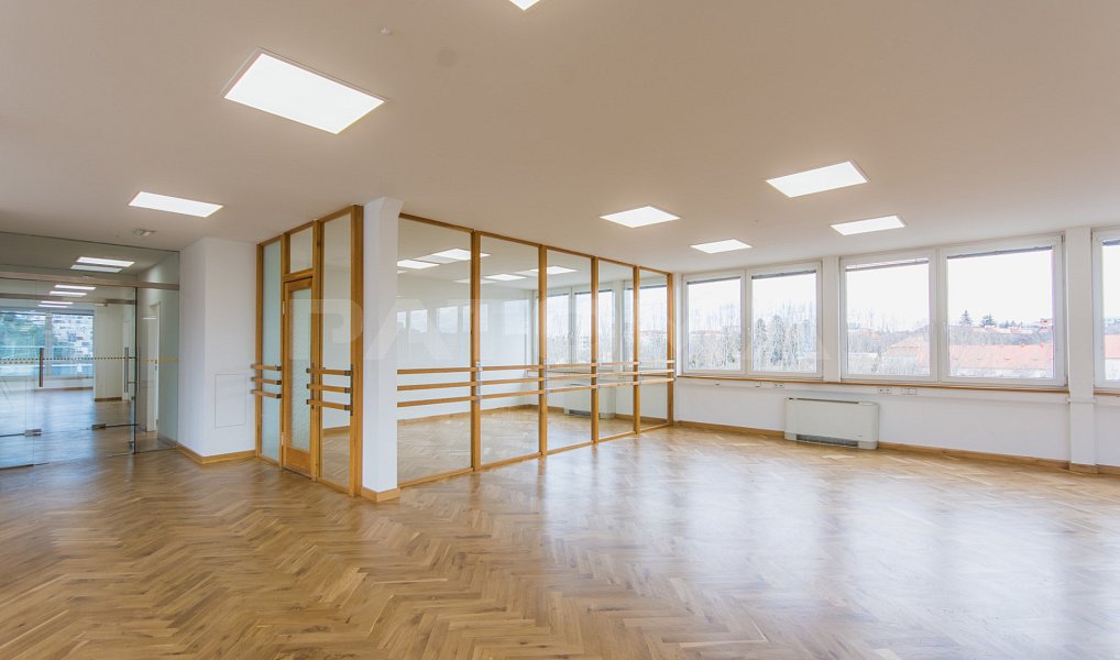 Pronájem kanceláře 257 m², Praha – náhled fotky 6