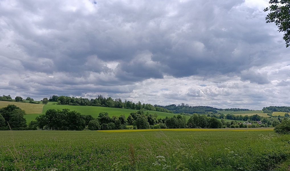Prodej zemědělského objektu 2 020 000 m², Pavlov – náhled fotky 10