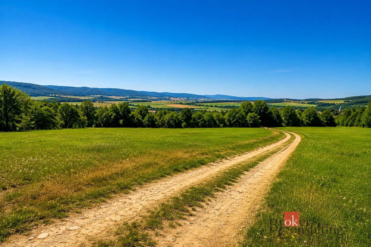 Prodej louky 3 075 m²