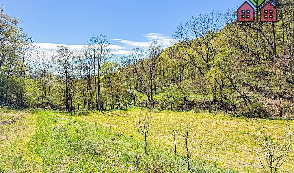 Prodej zahrady 4 999 m², Žitenice – náhled fotky 17