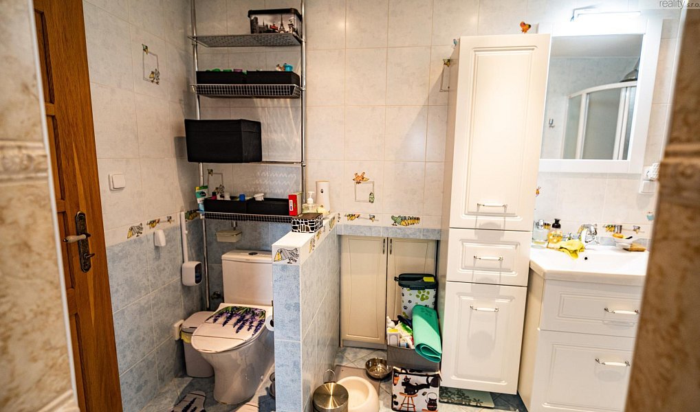 Prodej domu 547 m² s pozemkem 1 355 m², Most – náhled fotky 26