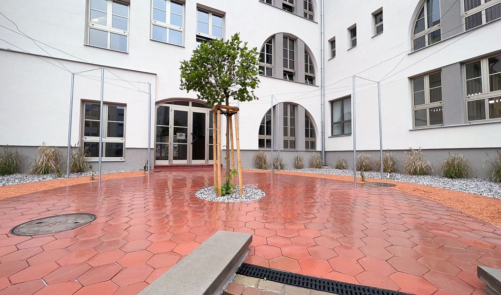 Pronájem kanceláře 150 m², Teplice – náhled fotky 3