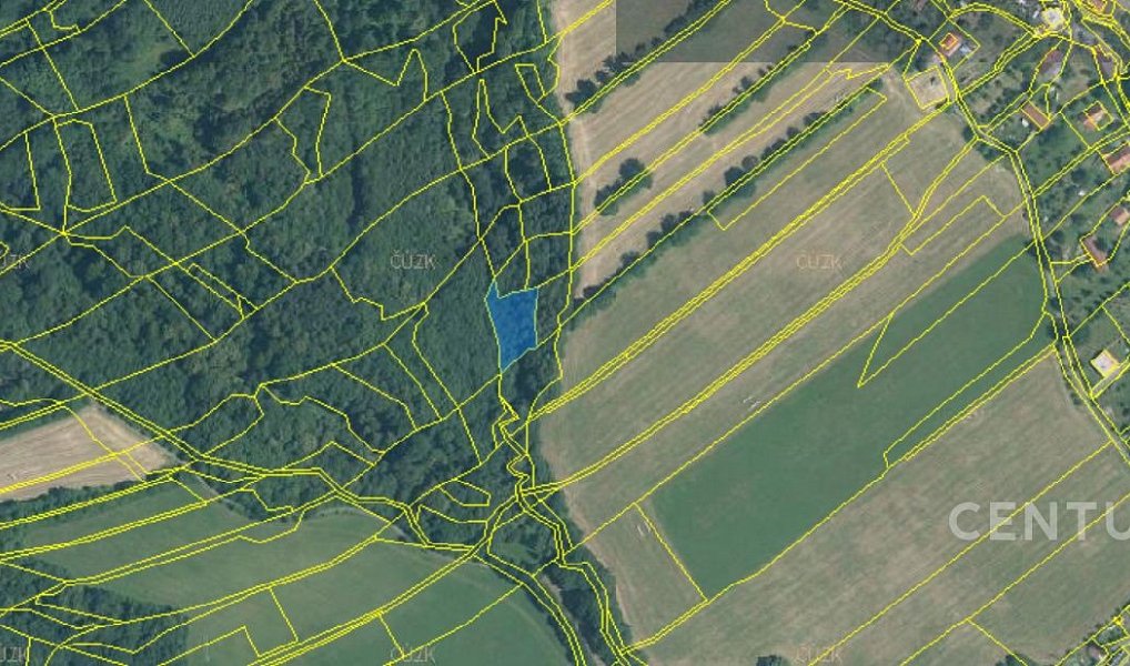 Prodej lesa 40 228 m², Nový Jičín – náhled fotky 2