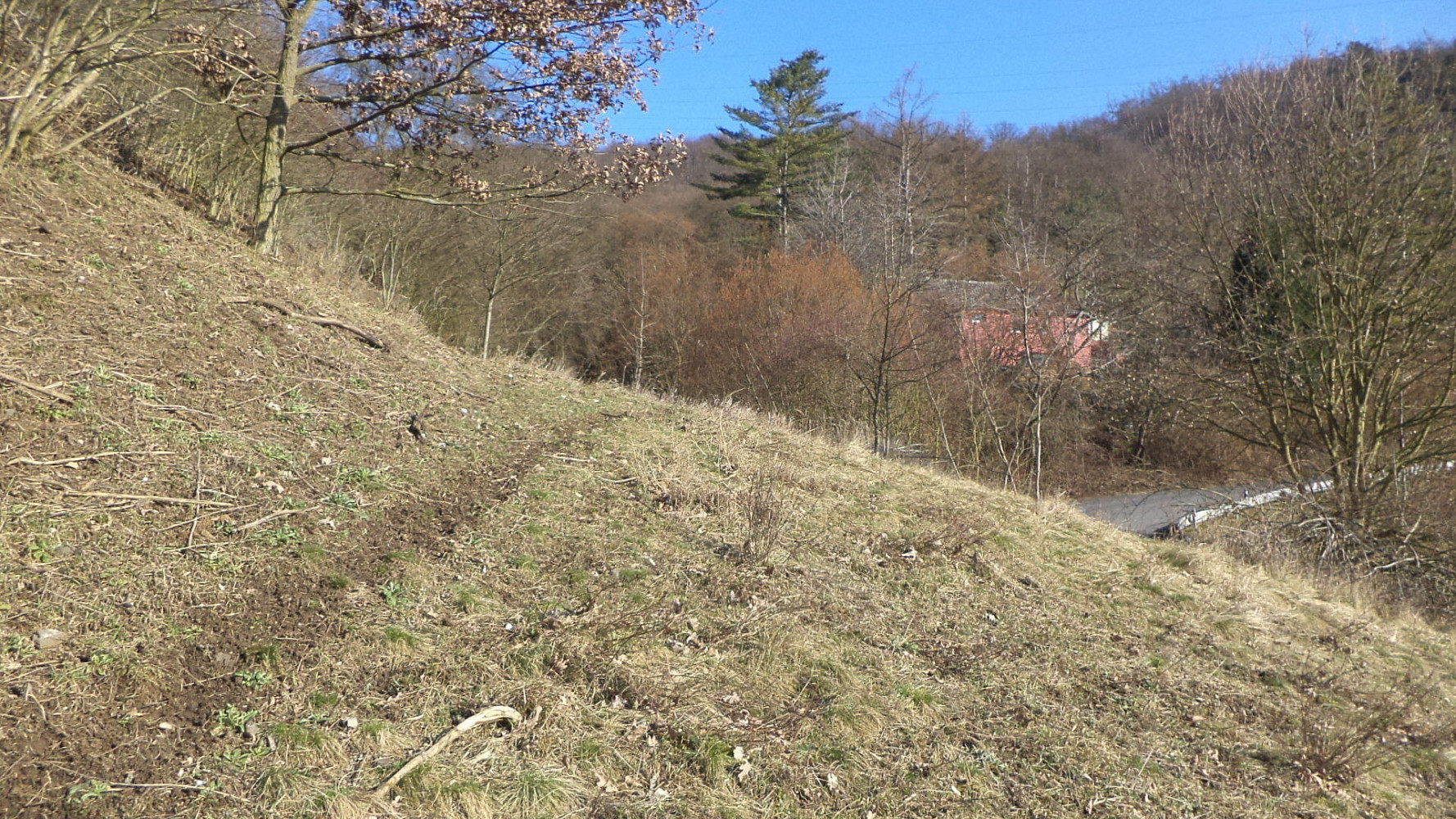 Prodej zahrady 1 700 m² – další