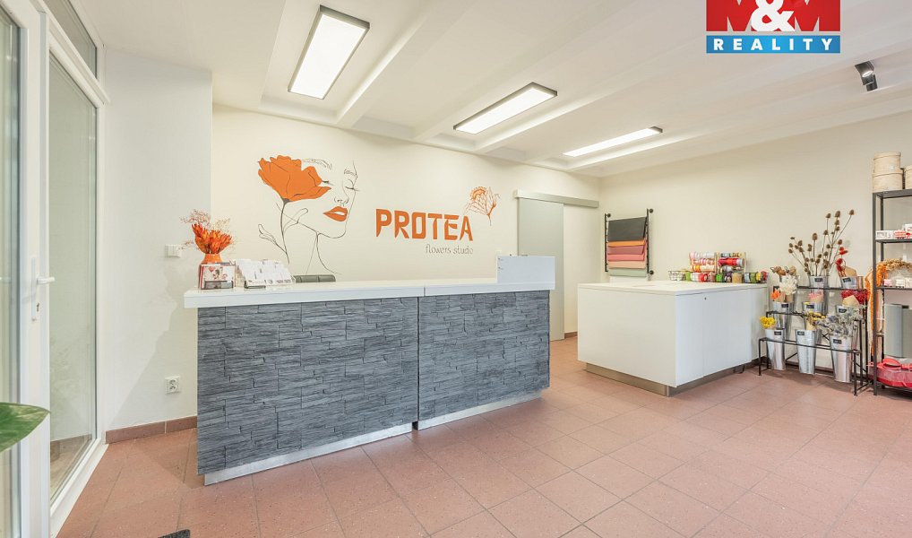 Pronájem obchodních prostor 48 m², Praha – náhled fotky 6