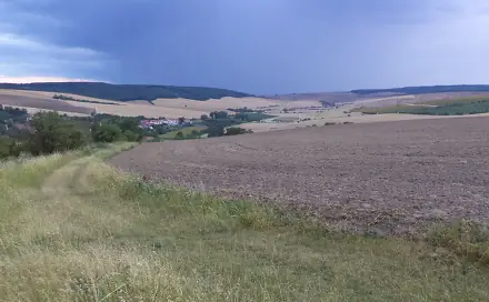 Dražba pole 4 541 m², Morkůvky