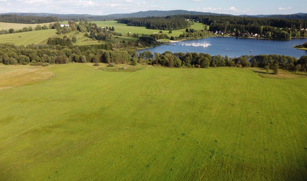 Prodej louky 17 984 m², Frymburk – náhled fotky 3