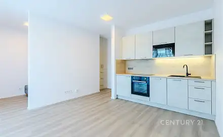 Pronájem bytu 1+kk 43 m²