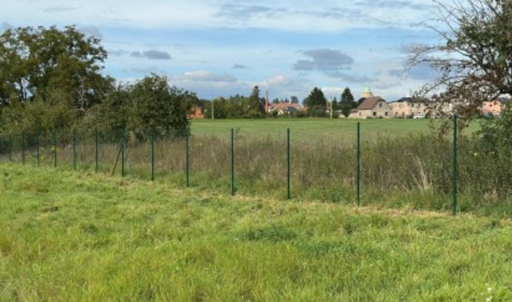Pronájem zahrady 384 m², Jaroměř – náhled fotky 9