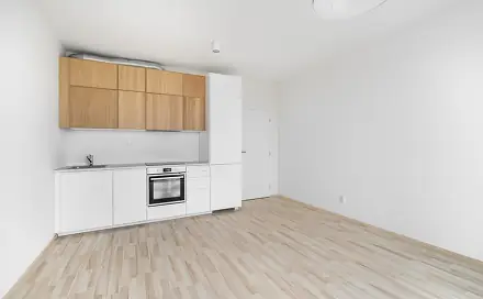 Pronájem bytu 1+kk 29 m², Magisterská, Plzeň - Jižní Předměstí