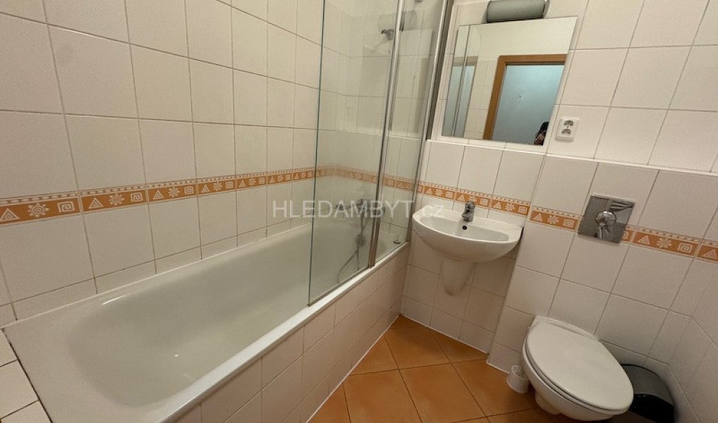 Pronájem bytu 1+kk 30 m², Praha – náhled fotky 8