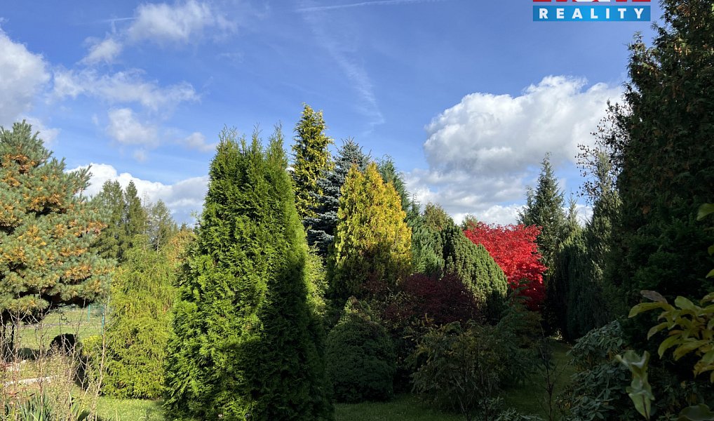 Prodej chaty/chalupy 18 m² s pozemkem 5 800 m², Velké Poříčí – náhled fotky 12