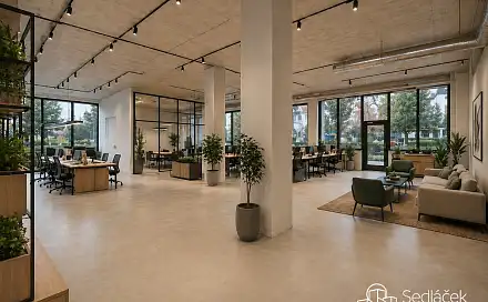 Pronájem obchodních prostor 350 m², Boženy Němcové, Sokolov