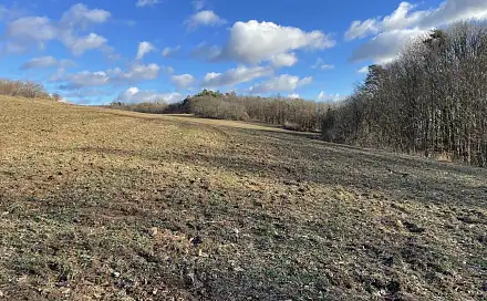 Prodej zahrady 2 458 m², Blansko - Těchov