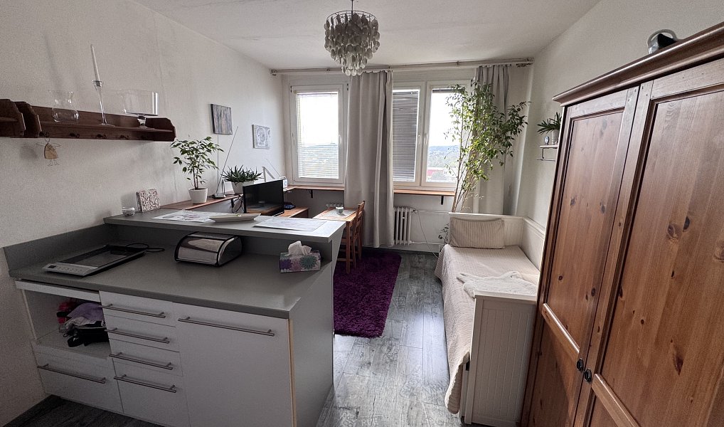 Prodej bytu 1+kk 23 m², Brno – náhled fotky 2
