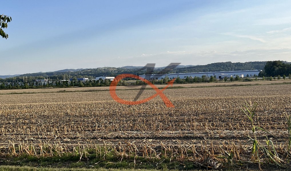 Prodej pole 4 766 m², Lešná – náhled fotky 8