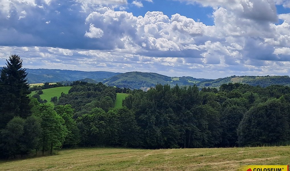 Prodej lesa 20 371 m², Dalečín – náhled fotky 3