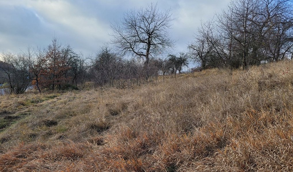 Prodej louky 6 483 m², Třebsko – náhled fotky 3
