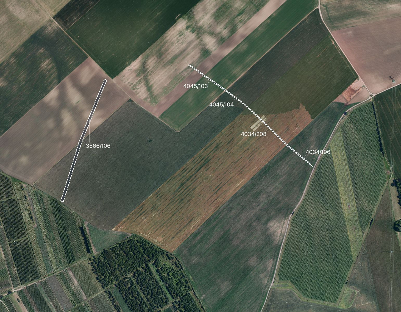 Prodej pole 14 563 m² — photo 2