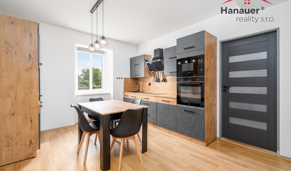 Prodej domu 488 m² s pozemkem 4 528 m², Hostomice – náhled fotky 3