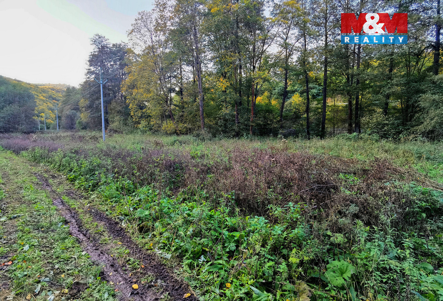 Prodej louky 2 421 m² — photo 4