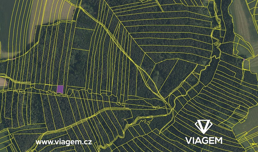 Prodej lesa 1 365 m², Římov – náhled fotky 8