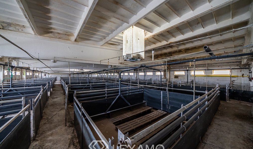 Prodej zemědělského objektu 4 280 m², Krhovice – náhled fotky 14