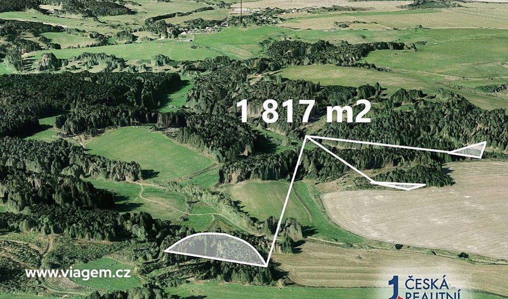 Prodej lesa 1 817 m², Otročín – náhled fotky 2