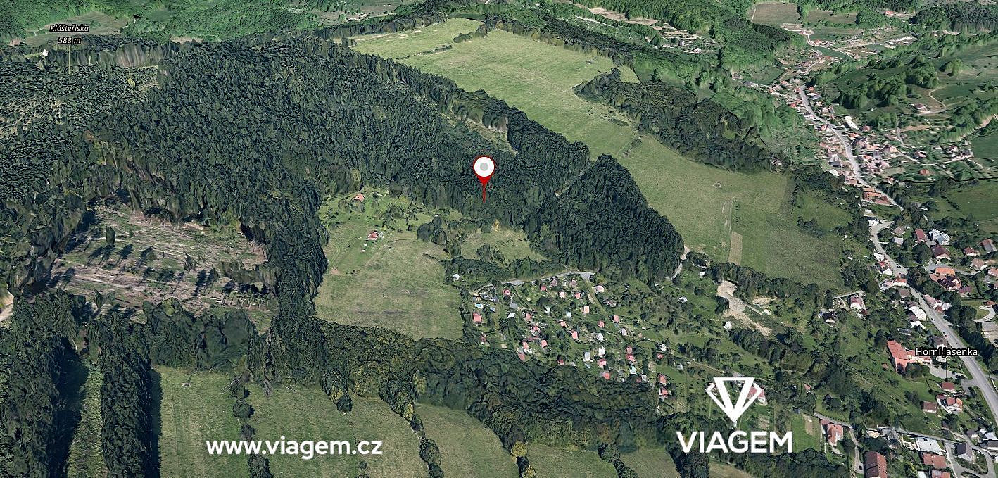 Prodej lesa 1 672 m² – pohled 2