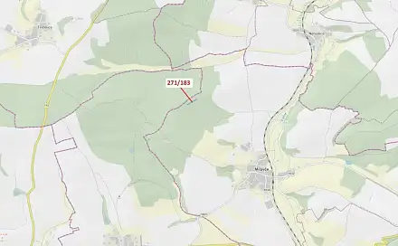 Dražba lesa 2 398 m², Milavče
