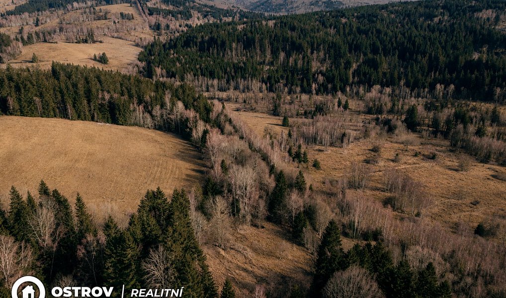 Prodej zahrady 830 m², Železná Ruda – náhled fotky 3