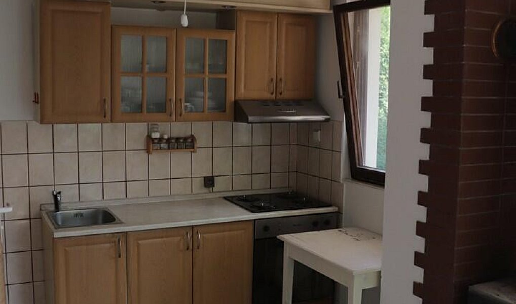 Prodej specifického typu nemovitosti 30 m2, Heřmanův Městec – náhled fotky 6