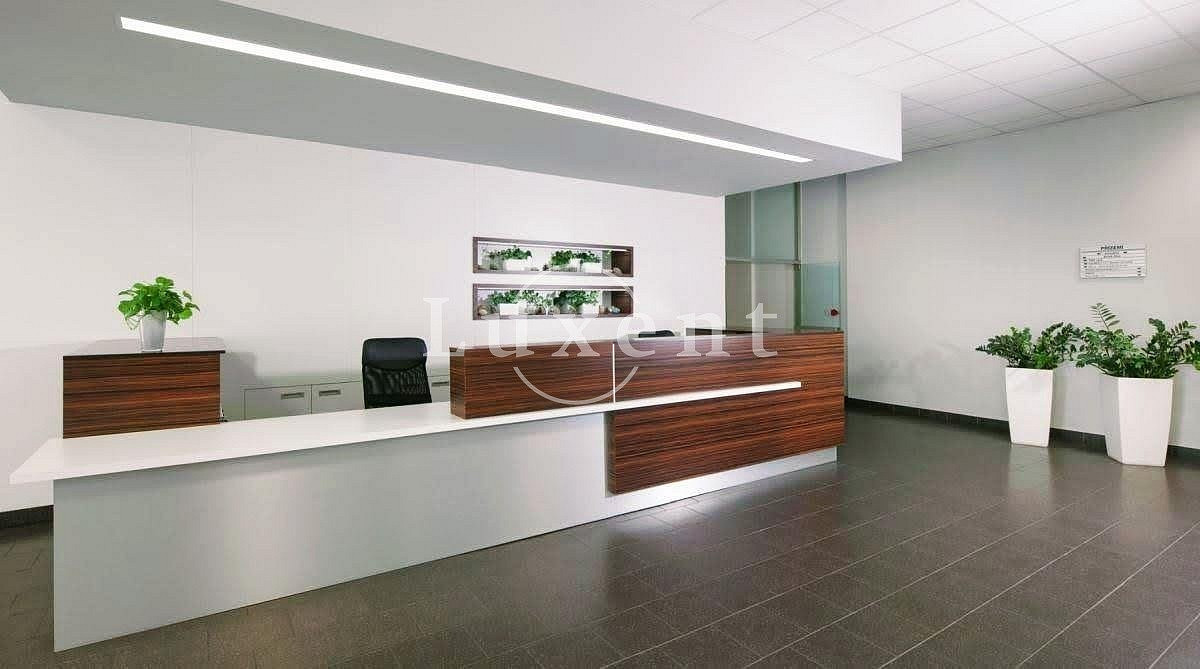 Pronájem kanceláře 1 435 m² – fotografie 3