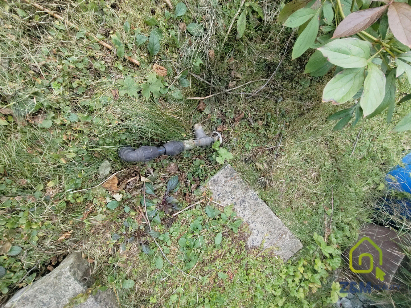 Fotka 11 z 25