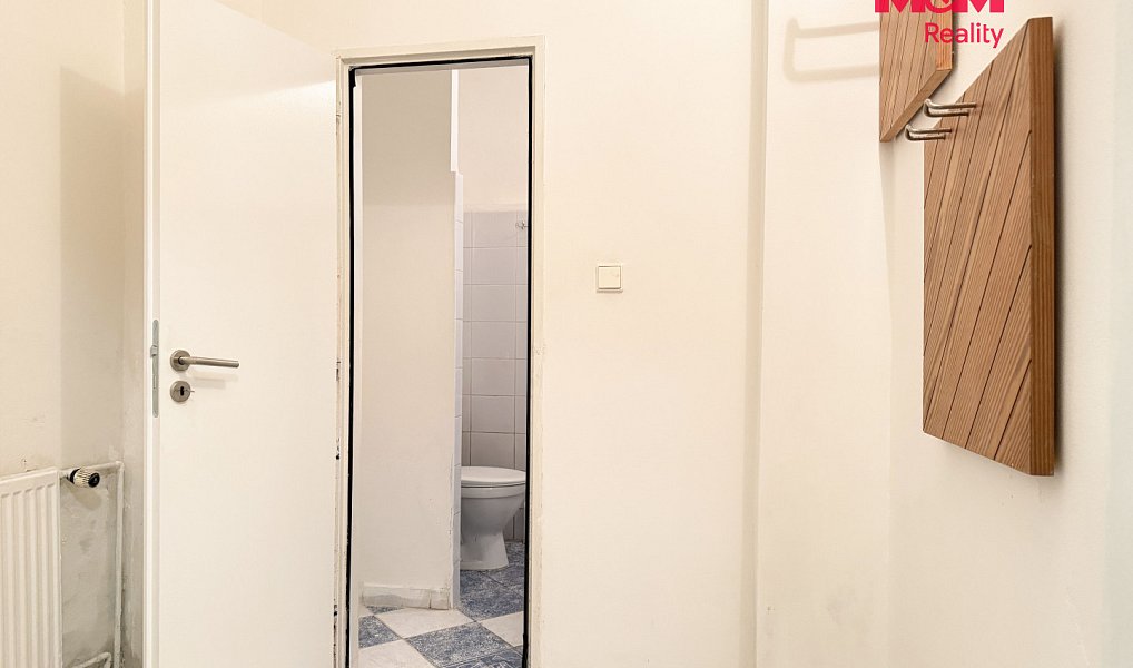 Pronájem bytu 1+1 33 m², Plzeň – náhled fotky 5