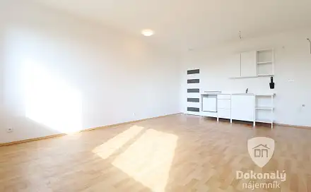 Pronájem bytu 1+kk 30 m²