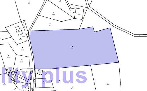 Prodej louky 15 452 m², Bedřichov, okres Jablonec nad Nisou
