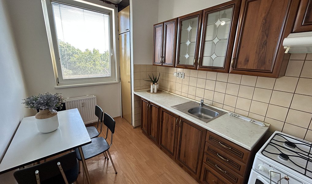 Pronájem bytu 2+1 45 m², Hodonín – fotka 1 z 9