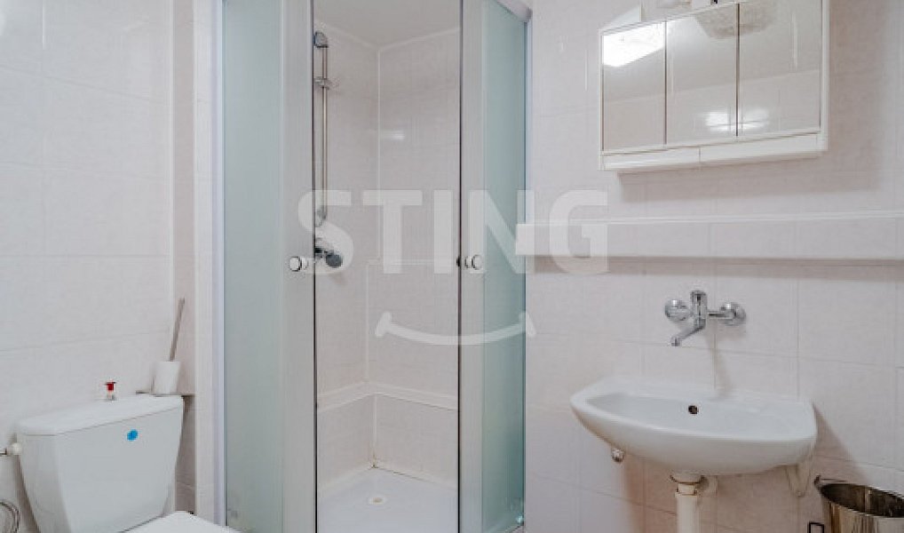 Prodej domu 497 m² s pozemkem 1 891 m², Větřkovice – náhled fotky 14