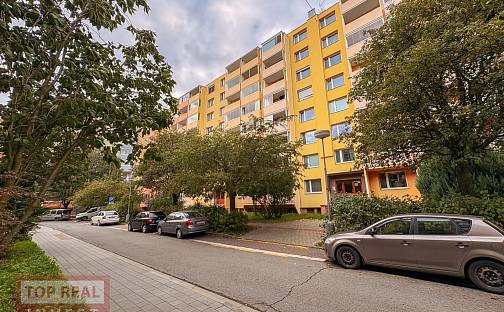 Pronájem bytu 1+1 32 m², Francouzská, Kroměříž