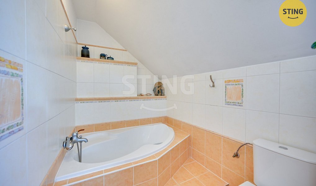 Prodej domu 250 m² s pozemkem 933 m², Velká Bíteš – náhled fotky 29