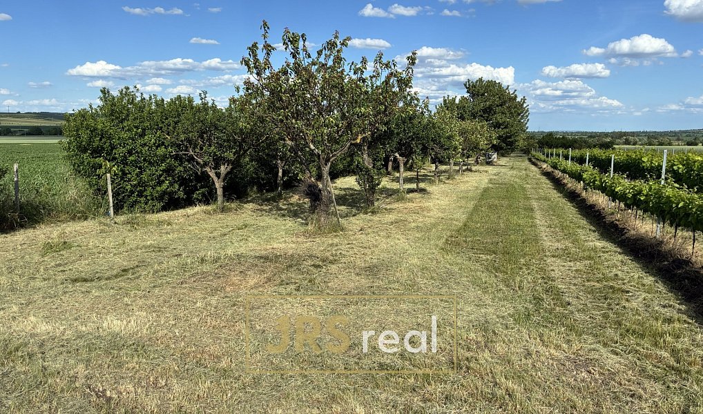 Prodej zahrady 5 111 m², Šakvice – náhled fotky 11