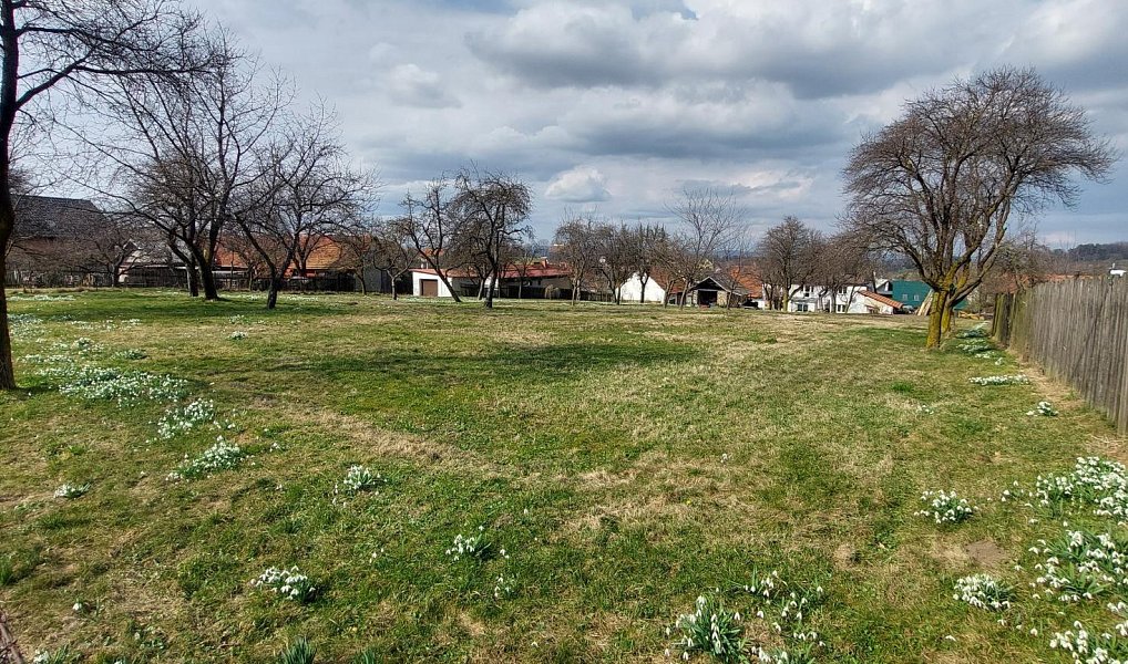 Prodej stavebního pozemku 1 563 m², Lešná – náhled fotky 11