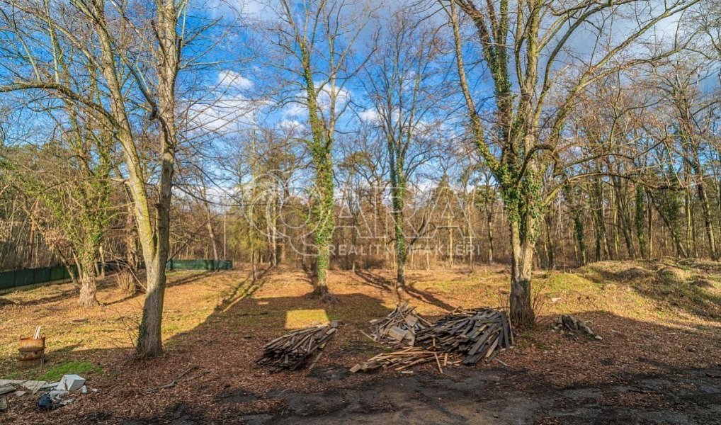 Prodej stavebního pozemku 6 090 m², Ovčáry – náhled fotky 4